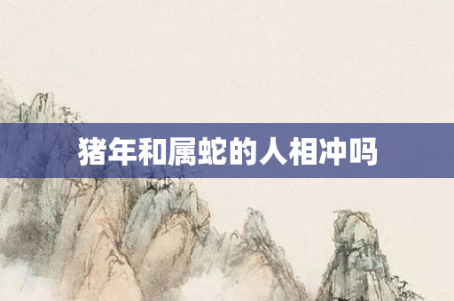 猪年和属蛇的人相冲吗