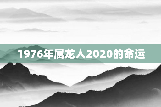 1976年属龙人2020的命运
