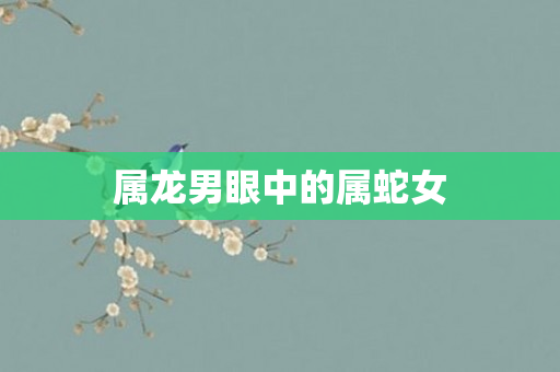 属龙男眼中的属蛇女