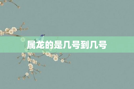 属龙的是几号到几号