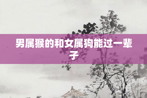 男属猴的和女属狗能过一辈子