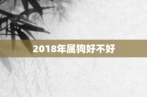 2018年属狗好不好