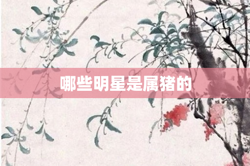 哪些明星是属猪的