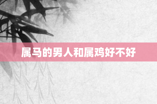 属马的男人和属鸡好不好