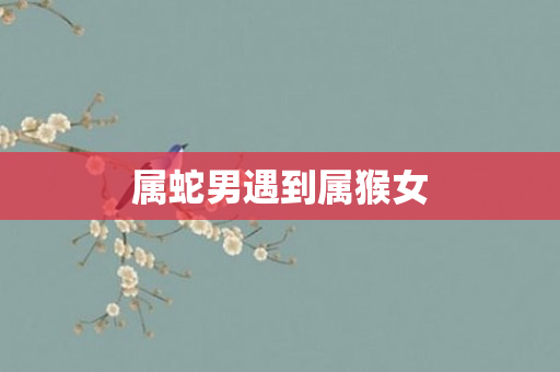 属蛇男遇到属猴女