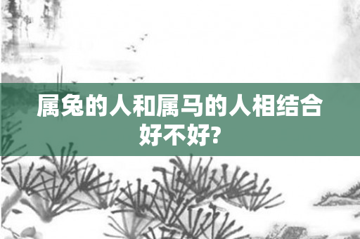 属兔的人和属马的人相结合好不好?