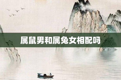属鼠男和属兔女相配吗