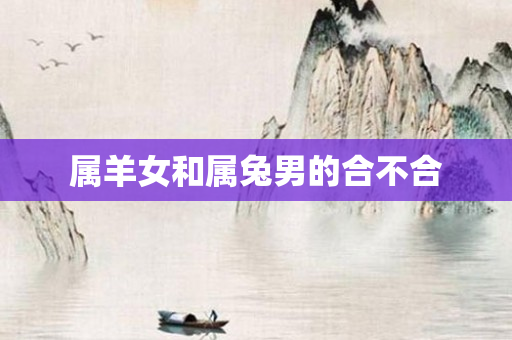 属羊女和属兔男的合不合