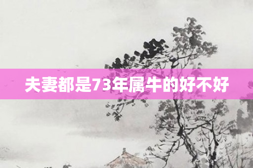 夫妻都是73年属牛的好不好