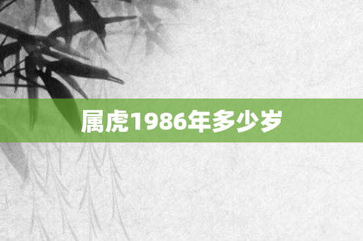属虎1986年多少岁