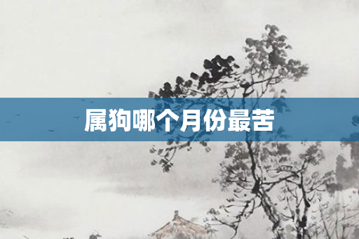 属狗哪个月份最苦