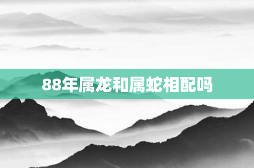 88年属龙和属蛇相配吗