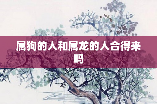 属狗的人和属龙的人合得来吗