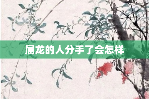 属龙的人分手了会怎样