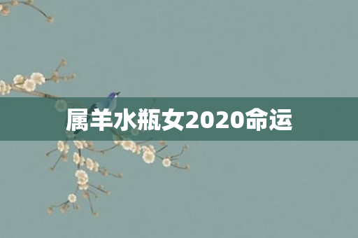 属羊水瓶女2020命运