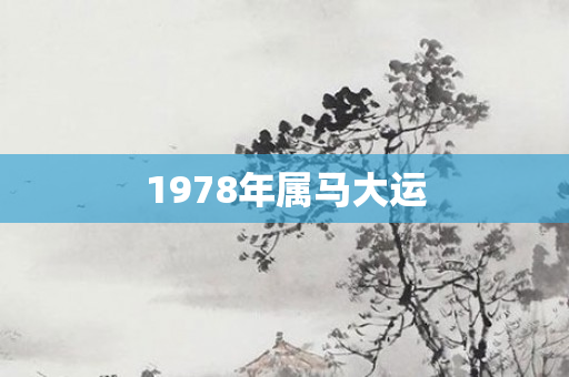 1978年属马大运