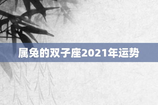 属兔的双子座2021年运势