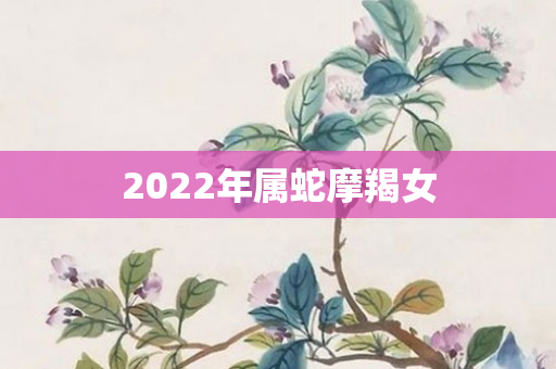 2022年属蛇摩羯女