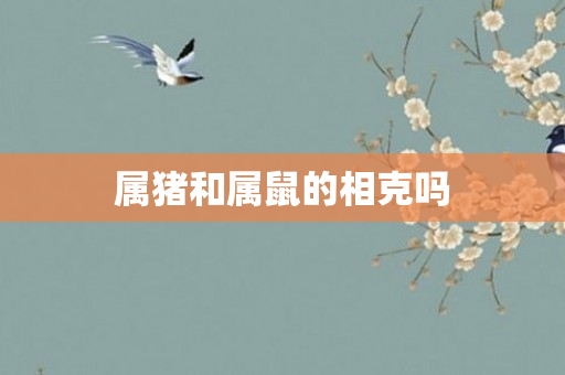 属猪和属鼠的相克吗