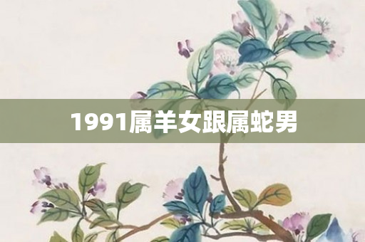 1991属羊女跟属蛇男