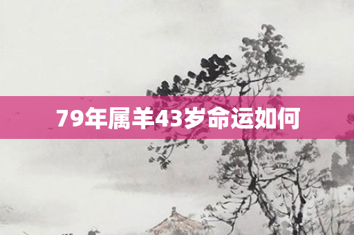 79年属羊43岁命运如何