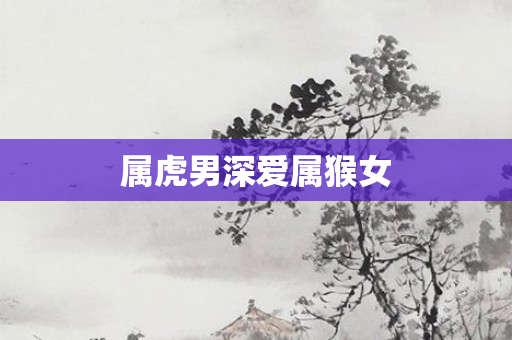 属虎男深爱属猴女