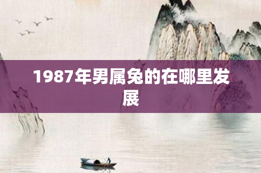 1987年男属兔的在哪里发展