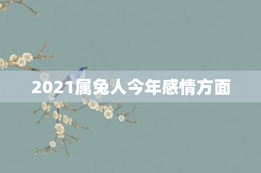 2021属兔人今年感情方面