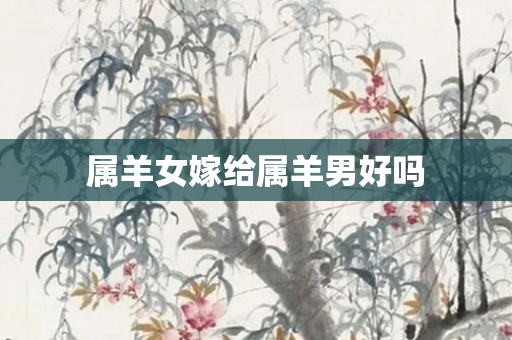 属羊女嫁给属羊男好吗