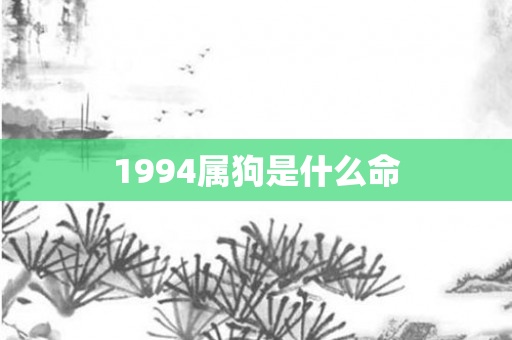 1994属狗是什么命