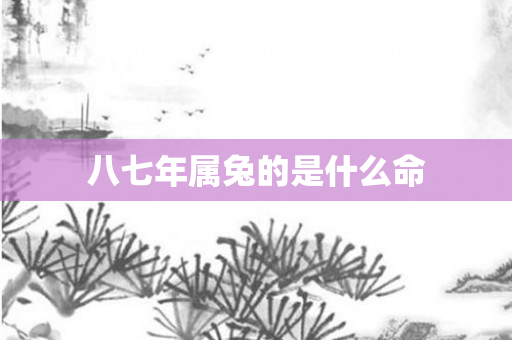 八七年属兔的是什么命