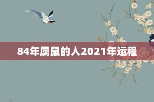 84年属鼠的人2021年运程