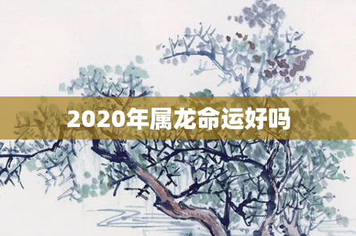 2020年属龙命运好吗