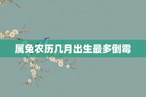 属兔农历几月出生最多倒霉