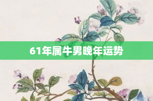 61年属牛男晚年运势