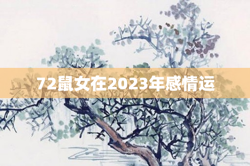 72鼠女在2023年感情运