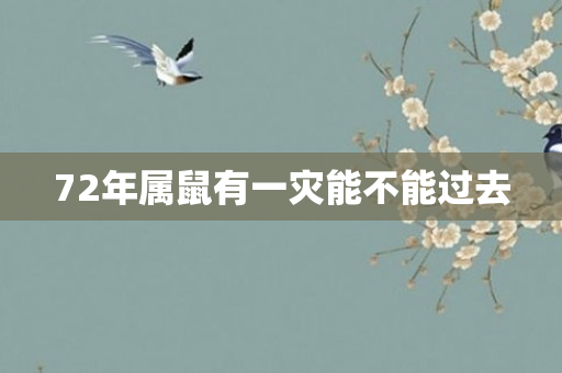 72年属鼠有一灾能不能过去