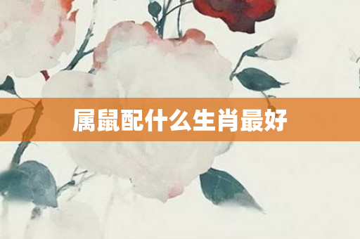 属鼠配什么生肖更好