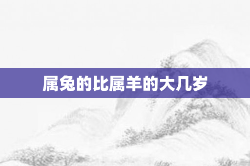 属兔的比属羊的大几岁