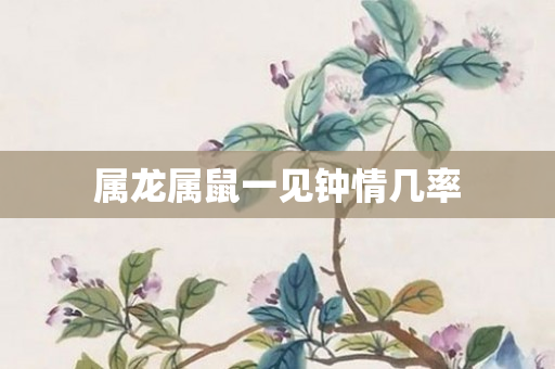 属龙属鼠一见钟情几率