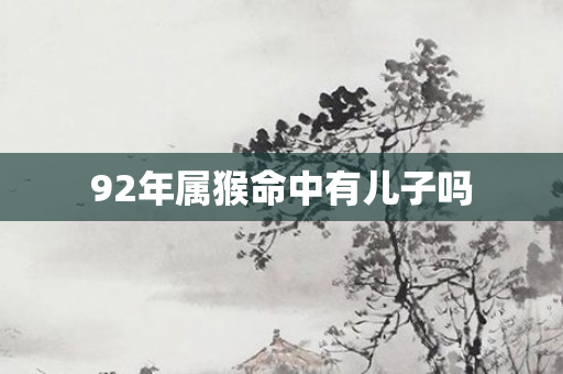 92年属猴命中有儿子吗