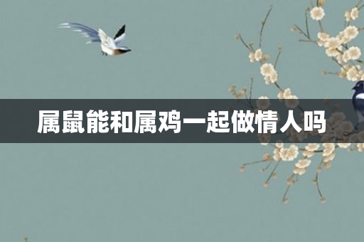 属鼠能和属鸡一起做情人吗