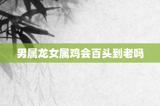 男属龙女属鸡会百头到老吗