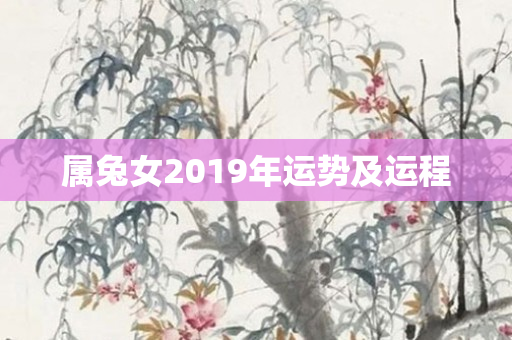 属兔女2019年运势及运程