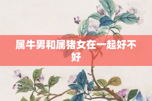 属牛男和属猪女在一起好不好