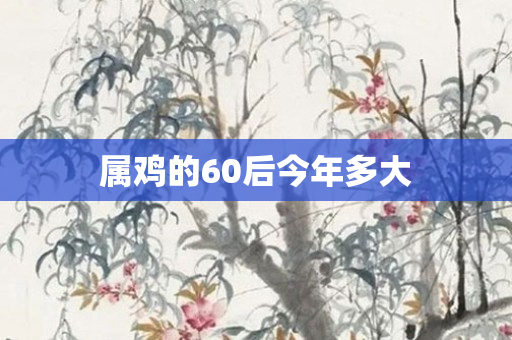 属鸡的60后今年多大