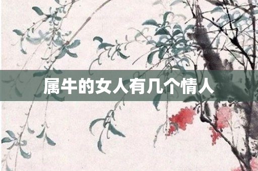 属牛的女人有几个情人