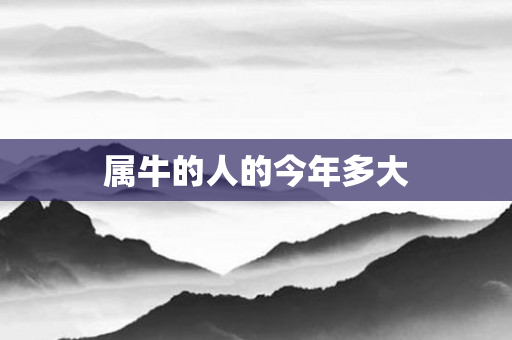 属牛的人的今年多大