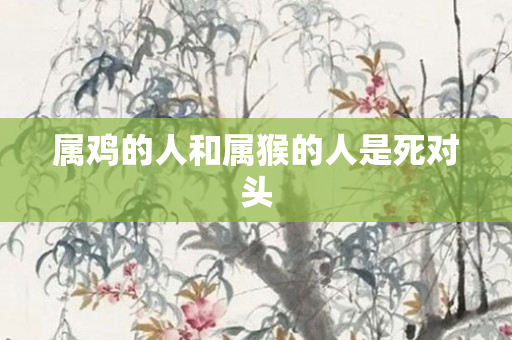属鸡的人和属猴的人是死对头