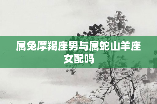 属兔摩羯座男与属蛇山羊座女配吗